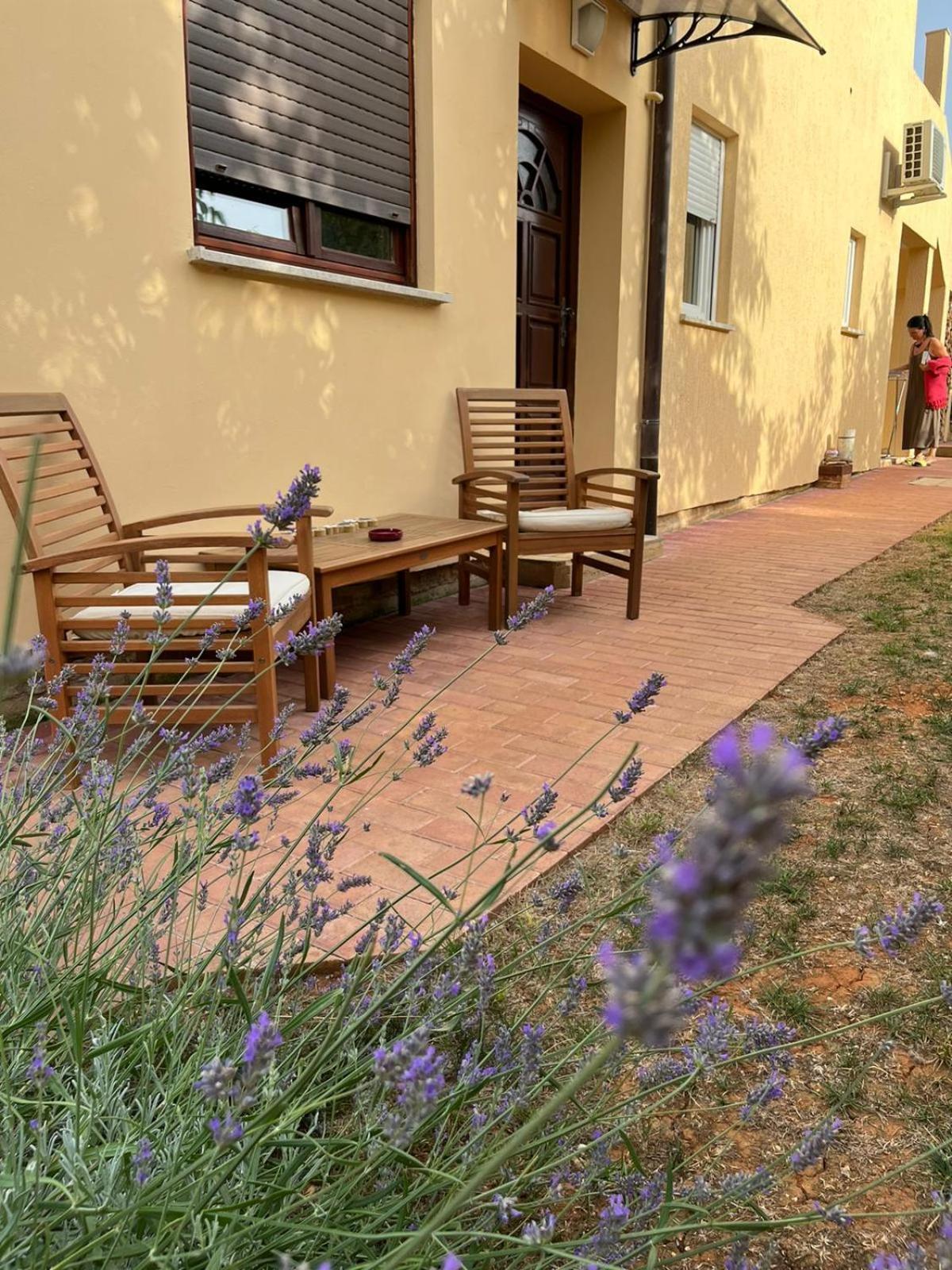 Studio Apartman San 3 Ližnjan 部屋 写真