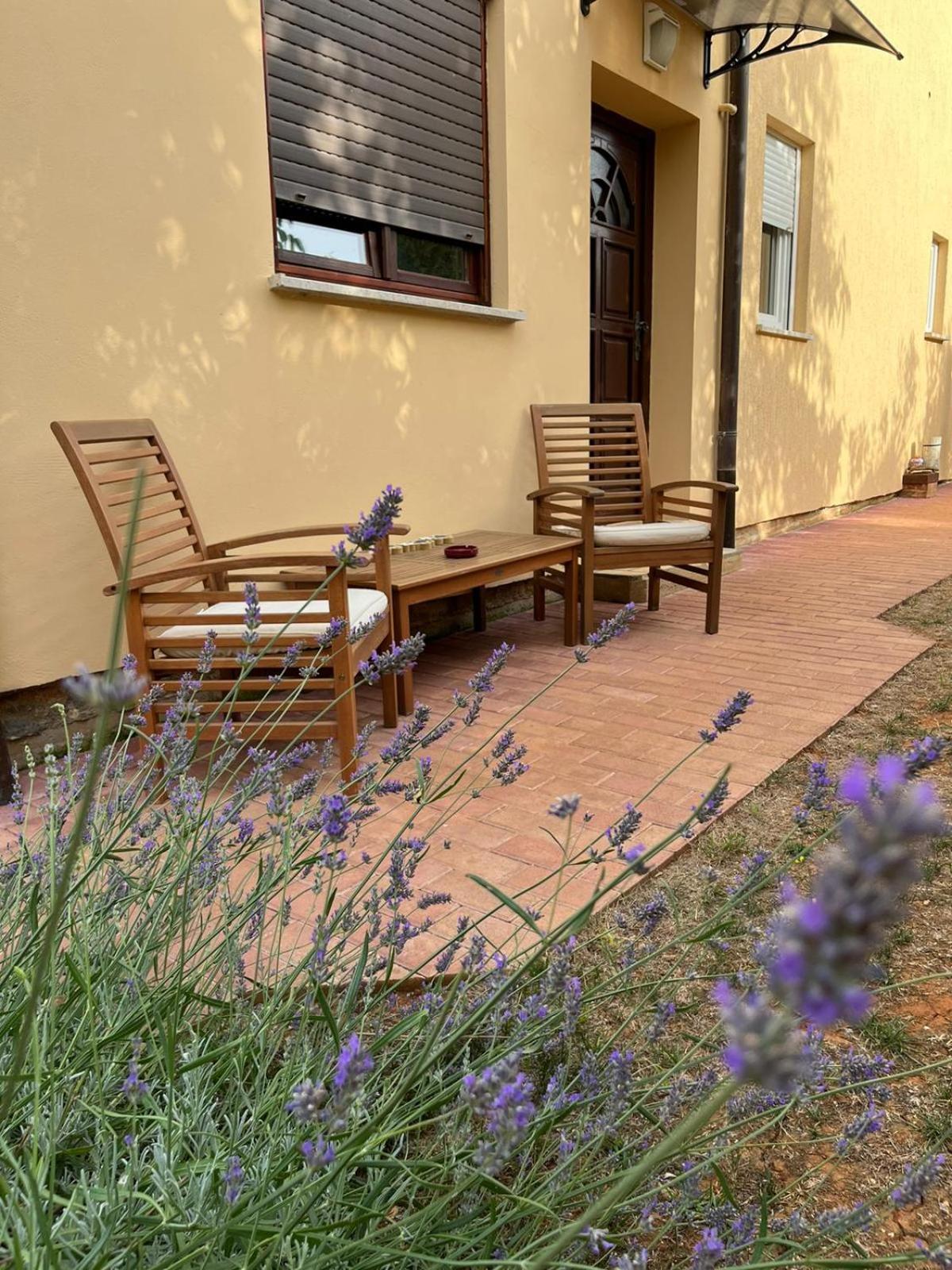 Studio Apartman San 3 Ližnjan 部屋 写真