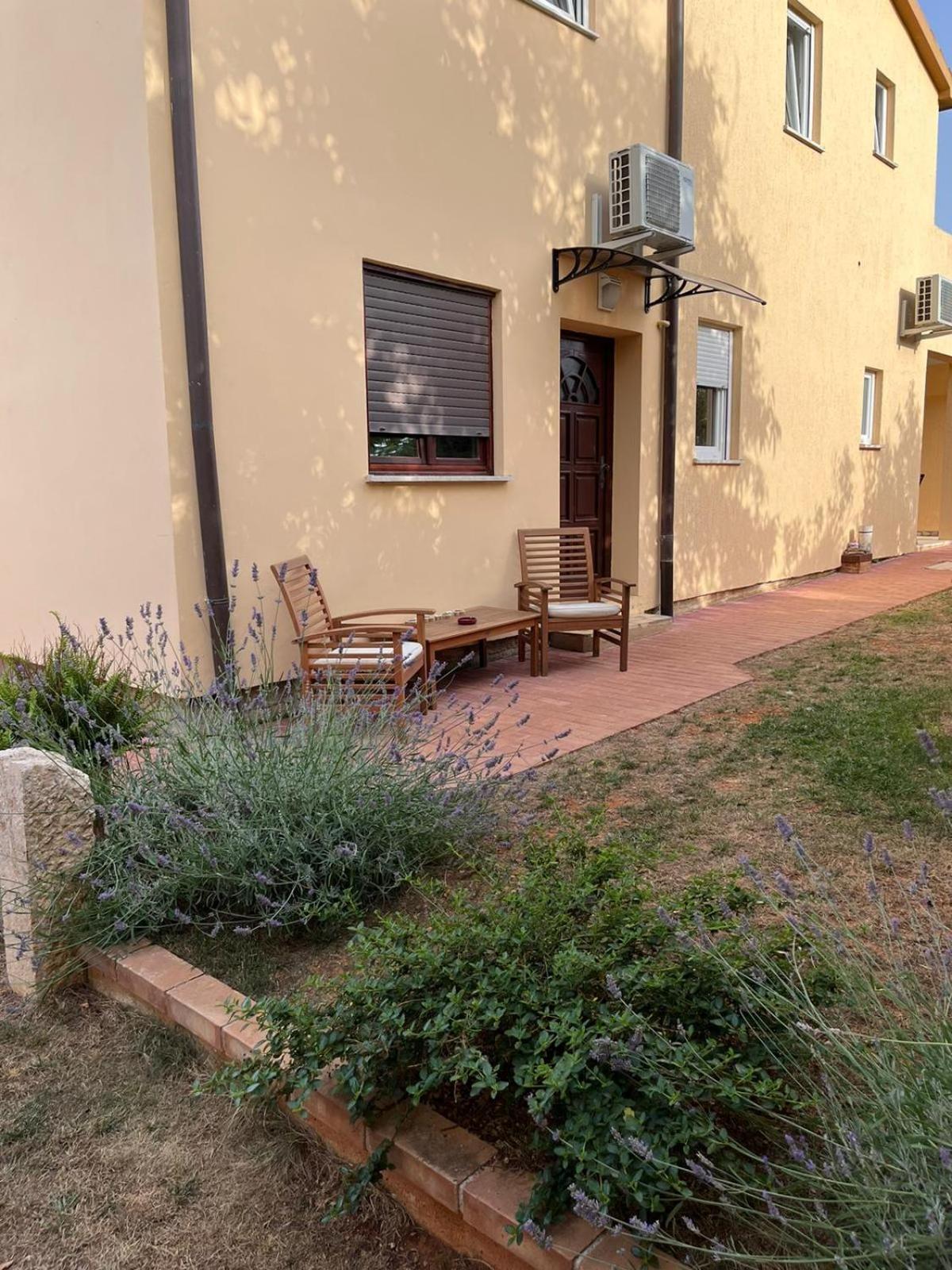 Studio Apartman San 3 Ližnjan 部屋 写真